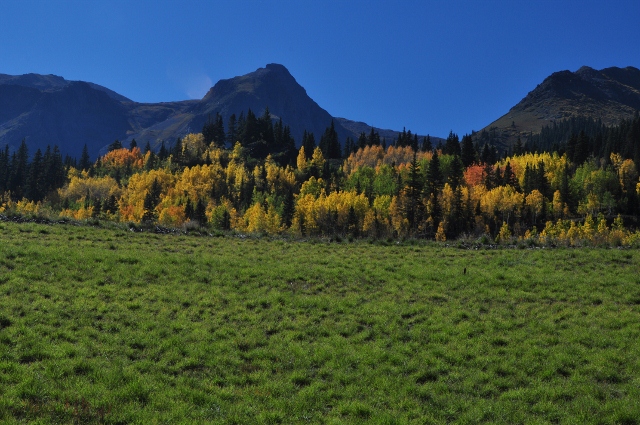 jeep tour to Brown Mountain